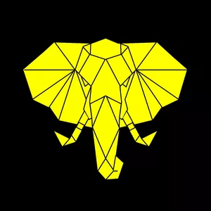 Imagen de portada para Curso online VORTEX OPTIONS