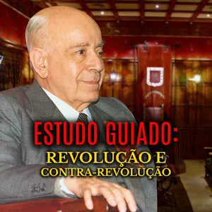 Imagem de capa para o Curso online [NOVO] Os 7 Pecados Capitais e as Revoluções Modernas + Estudo Guiado: Revolução e Contra-Revolução