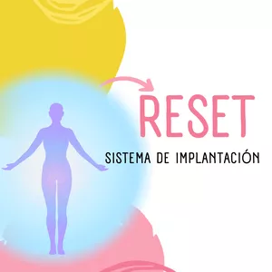 Imagen de portada para Ebook RESET SISTEMA DE IMPLANTACION 