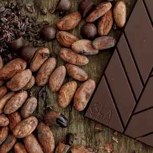 Imagem principal do produto Bean-to-bar. Como fazer seu próprio chocolate a partir de amêndoas de cacau.