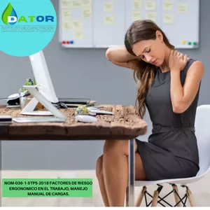 Imagen de portada para Curso online NOM-036-1-STPS-2018 NOM-036-1-STPS-2018 FACTORES DE RIESGO ERGONÓMICO EN EL TRABAJO, MANEJO MANUAL DE CARGAS.