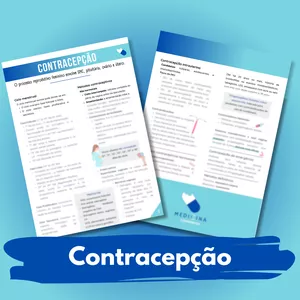 Imagem de capa para o Ebook E-book Resumo Contracepção
