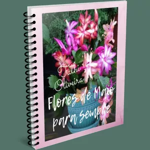 Imagem de capa para o Ebook Flor de Maio Para Sempre