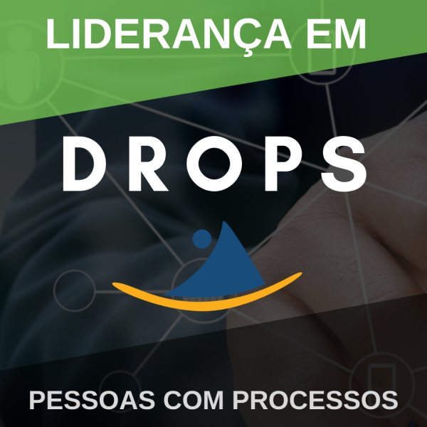 Curso Liderança em DROPS