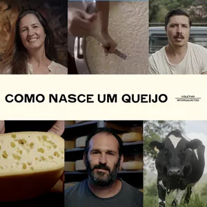 Imagem do curso Como nasce um queijo