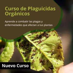 Imagen de portada para Curso online Curso de Plaguicidas Orgánicos