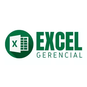 Imagem de capa para o Curso online Curso Excel Gerencial, do Zero ao Avançado