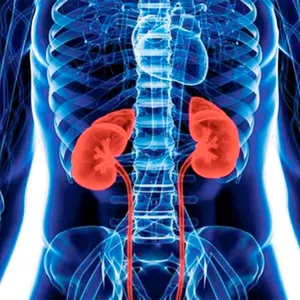 Imagem do curso Método Revertendo a DRC