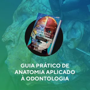 Imagem de capa para o Curso online Guia prático de Anatomia aplicado à Odontologia