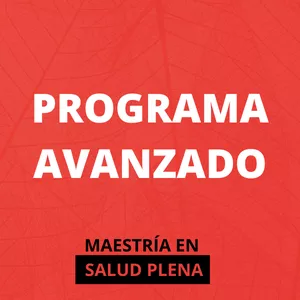 Imagen de portada para Curso online Programa Avanzado