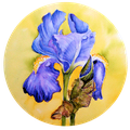 LindsayWeirich logo