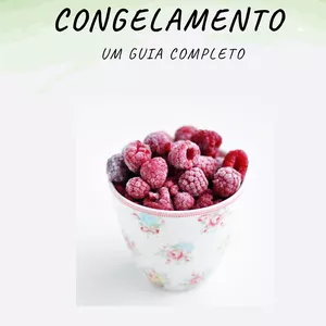 Imagem de capa para o Ebook Congelamento: Um Guia Completo