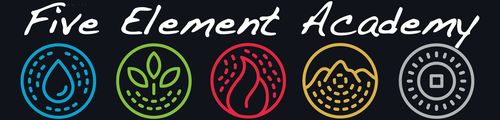 Five Element Academy logo