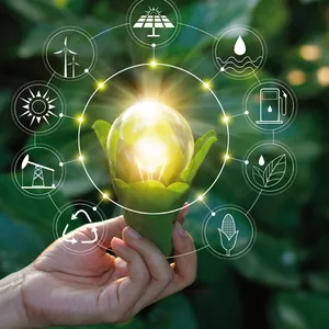 Imagem do curso Gestão Estratégica de Meio Ambiente