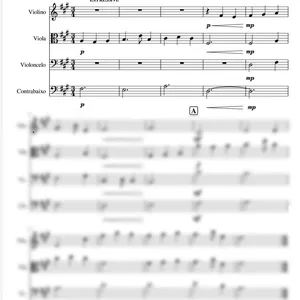 Imagem de capa para o Ebook NARUTO- Experienced many battles-Quarteto de cordas 