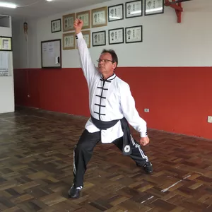 Imagem de capa para o Curso online Kung Fu - "Estilo Luo Han 1 - Punho Vajra" 