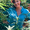 Kristi Talagan M.Ed.,