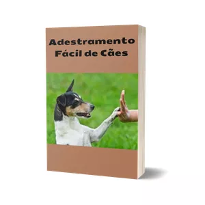 Imagem do curso Adestramento Fácil para cães 