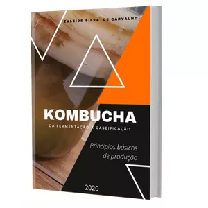Imagem principal do produto Kombucha da fermentação à gaseificação: Princípios básicos de produção