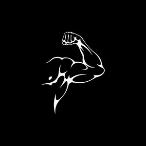 Imagem de capa para o Ebook Treino 101