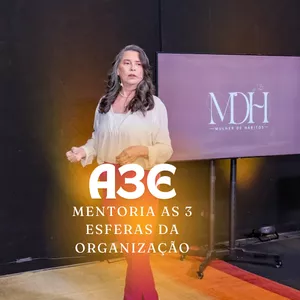 Imagem de capa para o Curso online Mentoria: AS 3 ESFERAS DA ORGANIZAÇÃO