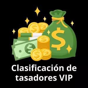 Imagen de portada para Curso online Classificación de Tasadores VIP