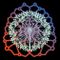 NeuroBloom Academy