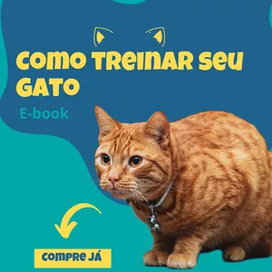 Imagem de capa para o Ebook TREINE SEU GATO