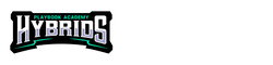 PLAYBOOK ACADEMY HYBRIDS by QR