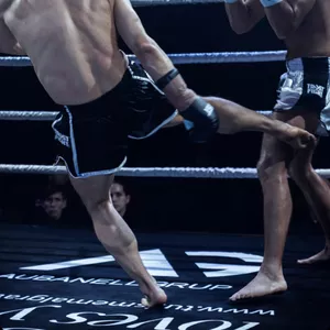 Imagen de portada para Curso online LOW KICK INDESTRUCTIBLE