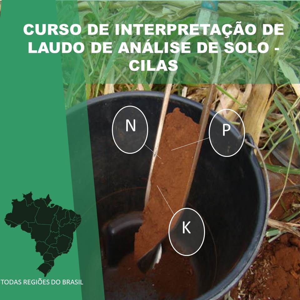 Capa do curso 