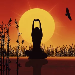 Imagem de capa para o Serviço online Yoga+ para Doloridos