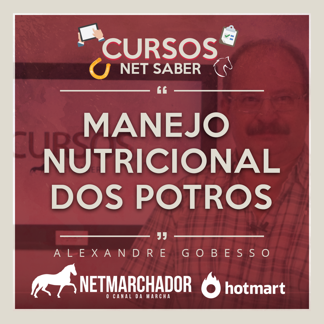 Capa do curso 