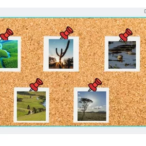 Imagem de capa para o Curso online Templates - Vegetação: Canva e Jamboard