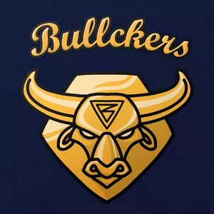 Imagem de capa para o Curso online Mentoria Bullckers 