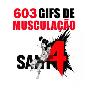 Imagem de capa para o Curso online 603 Gifs ilustrativos de musculação