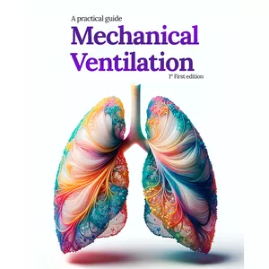 Cover image for Ebook Mechanical Ventilation - An practical Guide - Digital Content