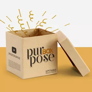 Imagem de capa para o Curso online BOX PURPOSE