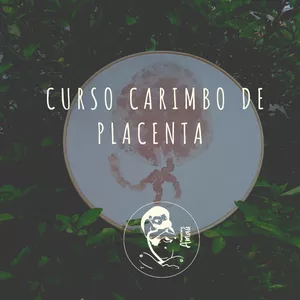 Imagem de capa para o Curso online Curso Carimbo de Placenta