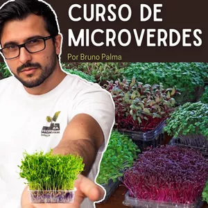 Imagem de Curso de Microverdes - Por Bruno Palma criado por Bruno Palma Ensina na hotmart