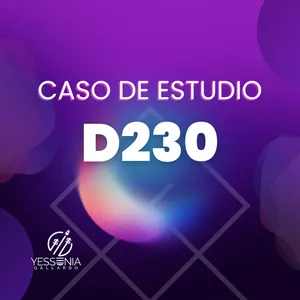 Imagen de portada para Curso online GUÍA DE D230 - CASO DE ESTUDIO
