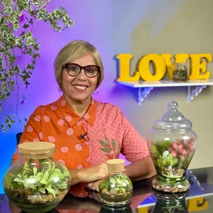 Imagem de capa para o Curso online MEU TERRÁRIO DO BÁSICO AO AVANÇADO E AS TÉCNICAS DA ÁGUA ARTIFICIAL