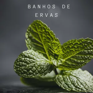 Imagem de capa para o Ebook BANHOS DE ERVAS