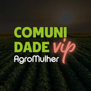 Imagem de capa para o Curso online Comunidade VIP