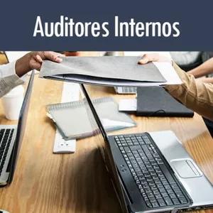 Imagen de portada para Curso online Auditores Internos