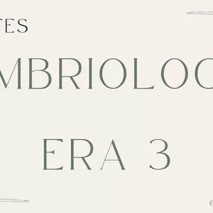 Imagem principal do produto Combo Embriología ERA 3 