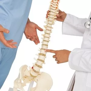 Imagen de portada para Curso online Programa Vive sin dolor de espalda