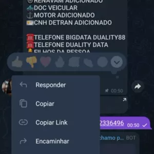 Imagem de capa para o Curso online BOT DE CONSULTAS