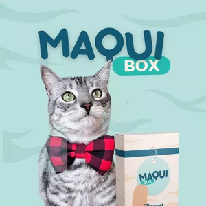 Imagen de portada para Curso online MAQUI BOX
