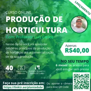 Imagem de capa para o Curso online Produção de Horticultura